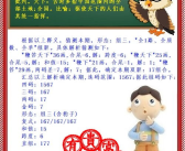 2020年最新谜语,解密“绯色弹丸”之谜，探寻赤井家族的秘密